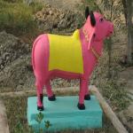 Vraj-Yatra-2014- (2461)